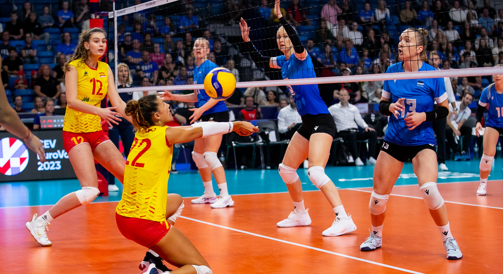 Real Federación Española de Voleibol